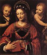 LUINI, Bernardino St.Catherine china oil painting reproduction